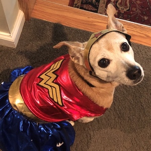 Fundraising Page: Pipsy PAC ALUM